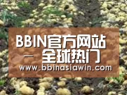 种植基地七