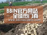 种植基地八