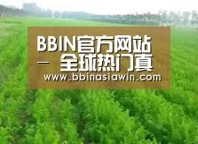 种植基地四