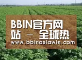 种植基地五