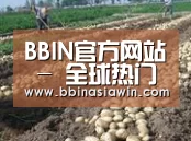 种植基地七(图1)