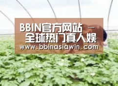 种植基地三
