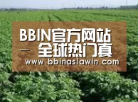 种植基地五(图1)
