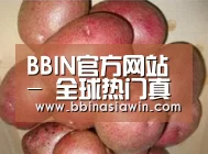 产品展示标题1