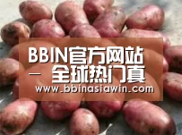 产品展示标题5