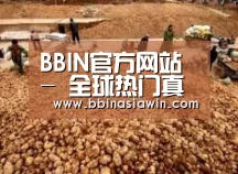 种植基地二