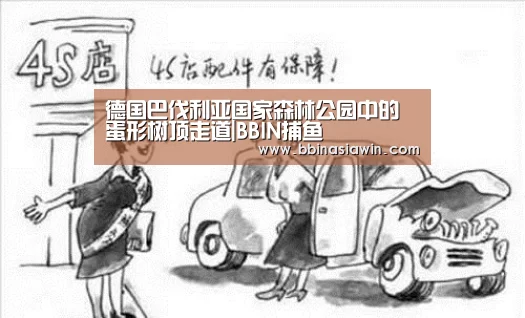 BBIN登录