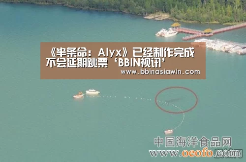《半条命:Alyx》已经制作完成 不会延期跳票‘BBIN视讯’(图2) BBIN视讯