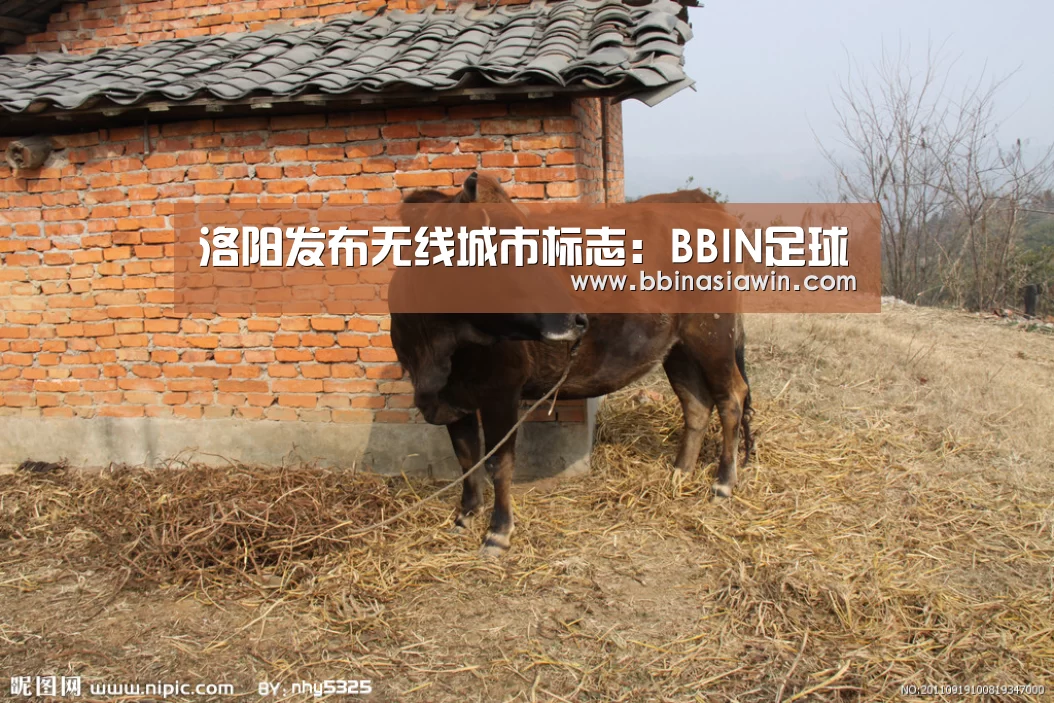 洛阳发布无线城市标志:BBIN足球(图1) BBIN登录