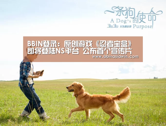 BBIN足球